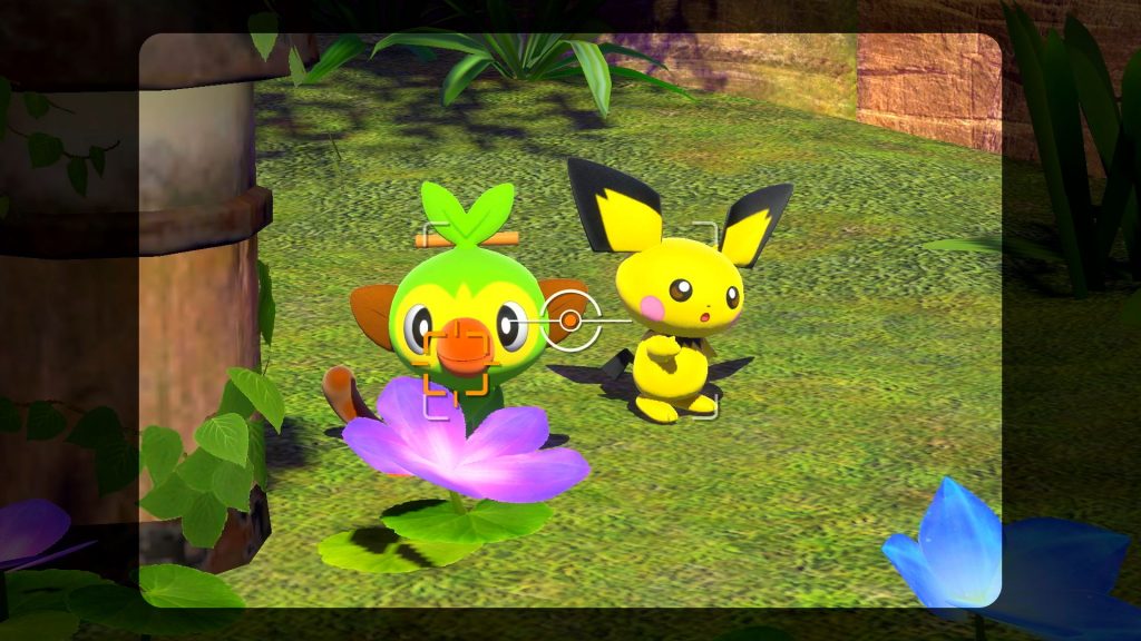 New Pokemon Snap - A Grookey and Pichu enjoy the sun.